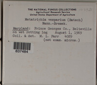 Image Associated With the Occurence